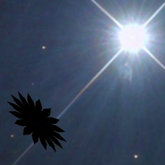 Terrestrial Planet Finder Project